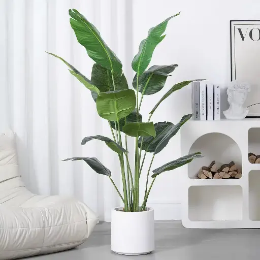 Bird of Paradise with a White Flower Pot