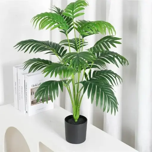 Chrysalidocarpus Lutescens with a Black Flower Pot